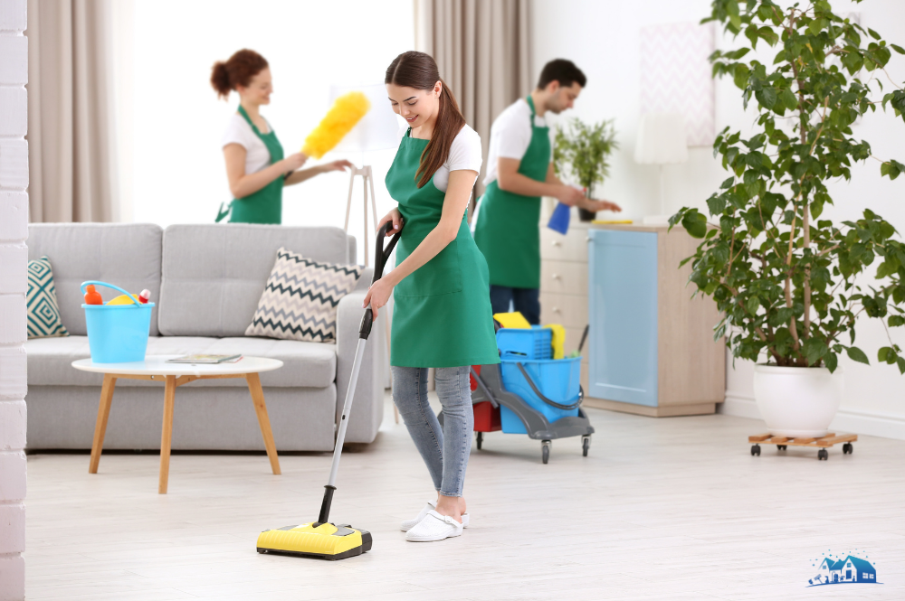 Professional cleaning service